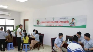 Médicos examinan a niños para detectar defectos congénitos. (Fotografía: VNA)