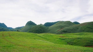Suoi Bon: idílica naturaleza en meseta de Moc Chau