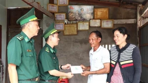 Dak Lak está redoblando esfuerzos para finalizar la construcción y la reparación de cerca de nueve mil viviendas destinadas a familias en situación vulnerable. (Foto: VNA)