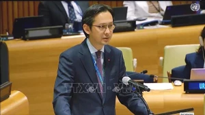 El embajador Do Hung Viet, representante permanente de Vietnam ante la Organización de las Naciones Unidas, habla en el evento. (Foto: VNA)
