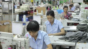 Foto de ilustración. (Fuente: VNA)