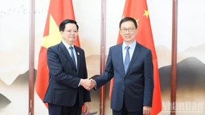 El vice primer ministro vietnamita Mai Van Chinh se reúne con el subjefe del Estado chino Han Zheng. (Foto: Nhan Dan)