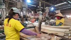 Foto de ilustración. (Fuente: VNA)