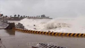 Olas de gran altura en la isla de Ly Son, en la central provincia vietnamita de Quang Ngai, debido al tifón Kalmaegi. (Foto: VNA)