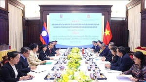 Panorama de la cita. (Foto: VNA)