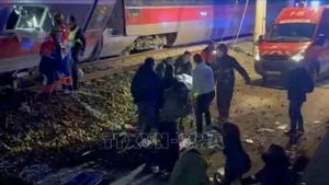 El grave accidente entre dos trenes de alta velocidad ocurrió en la provincia de Córdoba (Fuente: VNA)