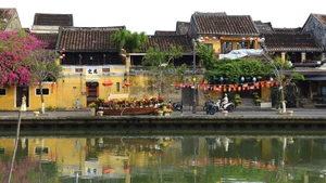 En la mañana del 23 de febrero, Hoi An luce tranquila bajo la luz del sol naciente, a orillas del romántico río Hoai.