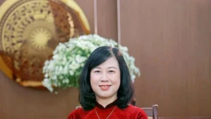 La ministra de Salud, Dao Hong Lan. (Foto: VNA)