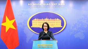 La portavoz del Ministerio de Relaciones Exteriores, Pham Thu Hang. (Foto: VN)