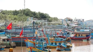 Foto ilustrativa. (Foto: VNA)