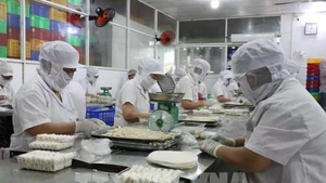 Trabajadores elaboran rollitos de primavera fritos en la empresa alimentaria Kim Ngoc, en el distrito de Tan An, provincia de Tay Ninh. (Foto: VNA)