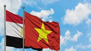 Relación de amistad tradicional entre Vietnam y Egipto