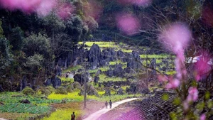 La belleza de la Meseta rocosa de Dong Van. (Foto: VNA)