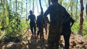 Recuperan cinco restos de soldados vietnamitas caídos en Laos y Camboya. (Foto: VNA)