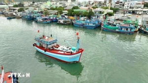 Vietnam lucha contra pesca ilegal. (Foto: VNA)