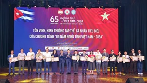 Honran a los individuos destacados de la campaña. (Foto: VNA)