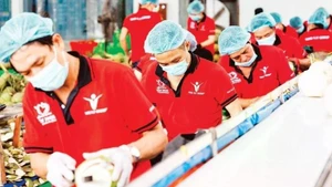 Foto ilustrativa. (Fuente: Nhan Dan)