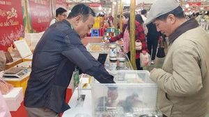 Un cliente visita el stand de productos agrícolas. (Foto: VNA)
