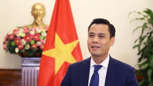 El viceministro vietnamita de Relaciones Exteriores Dang Hoang Giang. (Foto: Cancillería de Vietnam)