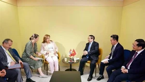Panorama de la reunión. (Foto: VNA)