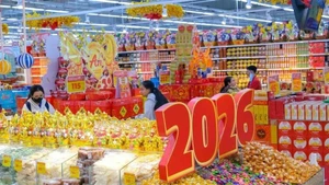 Foto ilustrativa. (Fuente: VNA)