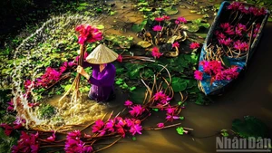 [Foto] Impresionantes imágenes del delta del Mekong en temporada de crecidas