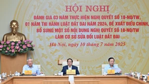 [Foto] Primer ministro vietnamita preside conferencia sobre políticas y legislación de tierras