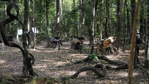 Una imagen de la película "Memorias de Nam Xuan", que se proyectará en la semana de cine en Dak Lak.