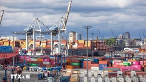 Puerto de carga en Hamburgo, Alemania. (Foto: Xinhua/VNA))