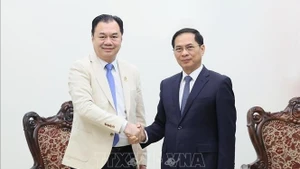 El viceprimer ministro vietnamita Bui Thanh Son recibe a Kounlaphanh Vongnathy, vicepresidente del Grupo Phongsupthavy. (Foto: VNA)