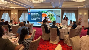 En el acto de promoción de la culinaria chilena, efectuado por la Oficina del Agregado Agrícola de Chile en Vietnam.