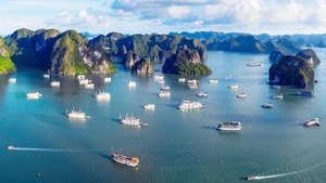 Vietnam: Un viaje por la majestuosidad de la naturaleza