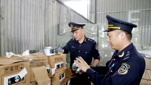 Agentes de aduanas del puesto fronterizo internacional de Huu Nghi (provincia de Lang Son) revisan las etiquetas de las mercancías importadas. (Foto: VNA)