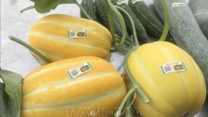 Foto ilustrativa. (Fuente: VNA)