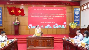 La vicepresidenta de la Asamblea Nacional de Vietnam, Nguyen Thi Thanh, en la sesión de trabajo. (Foto: VNA)