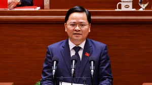 Nguyen Anh Tuan, subjefe de la Comisión de Políticas y Estrategias del Comité Central del Partido. (Foto: VNA)
