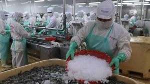 Foto ilustrativa. (Foto: VNA)