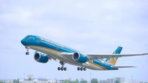 El avión de la aerolínea Vietnam Airlines. (Foto: VNA)