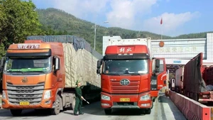 En la puerta fronteriza Chi Ma, en Lang Son. (Foto: VNA)