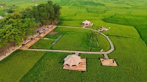 Turismo entre arrozales: una experiencia rural en Quang Binh
