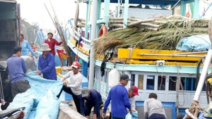 Los pescadores preparan aparejos de pesca, hielo y otros artículos necesarios para su primera salida de pesca del año en el puerto pesquero de Phan Thiet. (Foto: VNA)