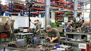 Foto ilustrativa. (Fuente: VNA)