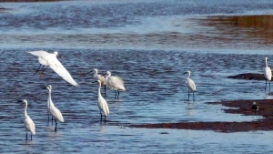 Xuan Thuy, Parque Patrimonio de la Asean