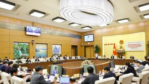 El panorama de la reunión. (Foto: VNA)