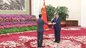 El embajador de Vietnam en Beijing, Pham Thanh Binh, presenta sus cartas credenciales al secretario general del Partido Comunista y presidente de China, Xi Jinping. (Foto: VNA)