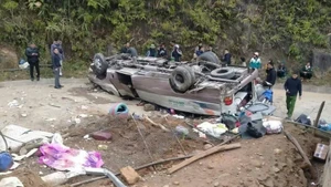 El accidente dejó nueve muertos. (Foto: VNA)