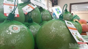 El pomelo será la octava fruta que Vietnam exporta a Australia. 