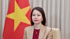 Nguyen Minh Hang, viceministra de Relaciones Exteriores de Vietnam. (Foto: Cancillería de Vietnam)