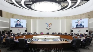 El presidente de Vietnam, Luong Cuong, participa en la Cumbre de Líderes Económicos del APEC. (Foto: VNA)