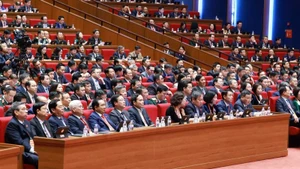 Delegados estudian documentos presentados al XIV Congreso Nacional del PCV. (Foto: VNA)